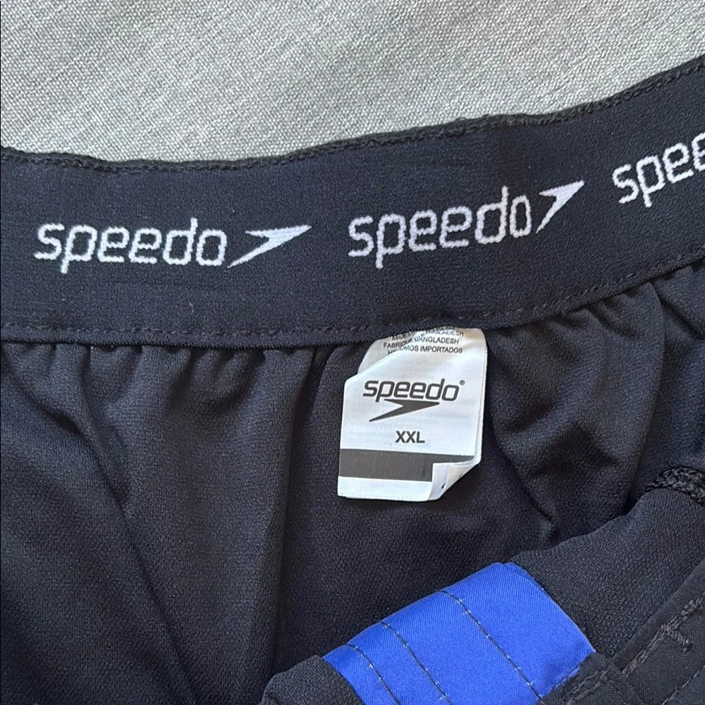 Speedo Blue to Pink Ombre Swim Board Shorts